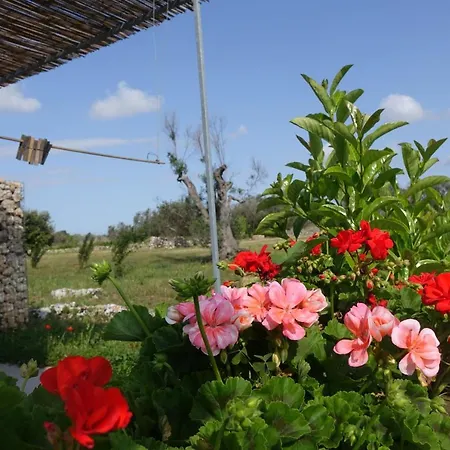 Giardino Del Tempo *