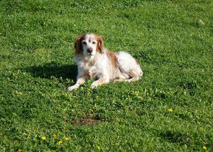 Farm stay Giardino Del Tempo Merine