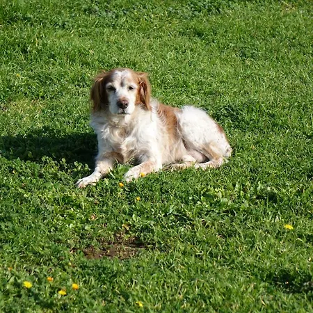 Alloggio per agriturismo Giardino Del Tempo Merine